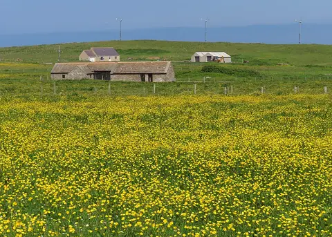 Photo of Mull Head Nature Reserve, a nature reserve in the Orkney Islands, the Scottish Highlands and Islands.