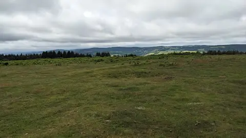 Photo: May Hill, a 296m hill near Newnham on Severn, Gloucestershire, south west England.