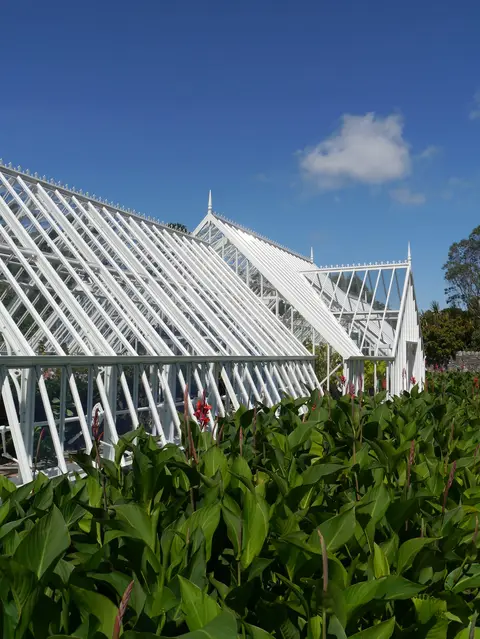 Photo of Logan Botanic Garden, a garden near Port Logan, Dumfries and Galloway, southern Scotland.