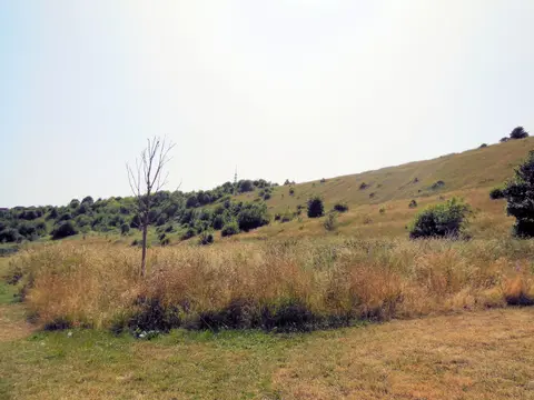 Photo of Whitehawk Hill & Camp, a nature reserve near Brighton, East Sussex, south east England.