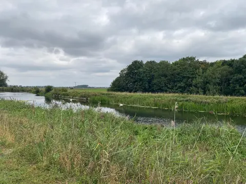 Photo of the Little Ouse River, a river navigation running from Brandon Creek to Brandon, eastern England.