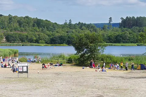 Photo of Frensham Great Pond, a swimming spot near Tilford, Surrey, south east England.