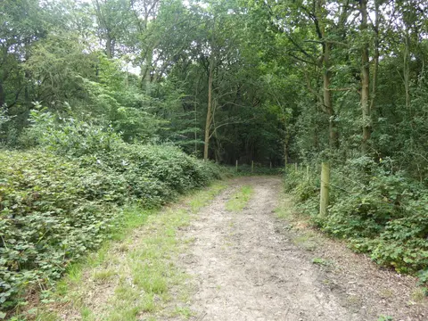 Photo of Havering Country Park, a country park near Gidea Park, London, England.