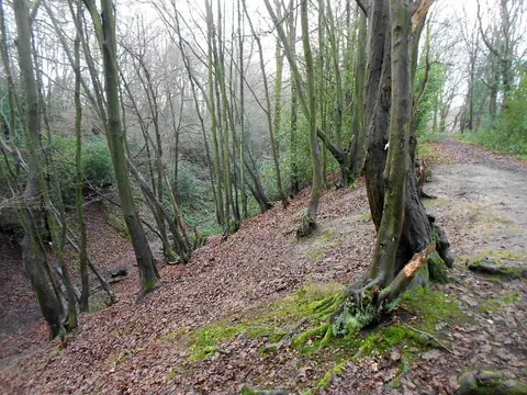 Photo of Devil's Dyke, Wheathampstead, a landmark in Hertfordshire, eastern England.