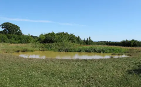 Photo of Thorndon Country Park, a country park near West Horndon, Essex, eastern England.