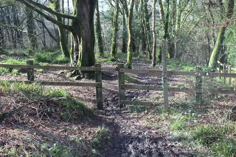 Photo of Little Milford, a nature reserve near Little Haven, Pembrokeshire, south west Wales.