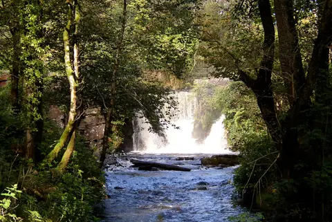 Photo of Penllergare Valley Woods, a garden near Penllergaer, Swansea, south west Wales.
