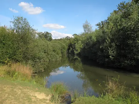 Photo of Hatfield Forest, a National Nature Reserve near Great Dunmow, Essex, eastern England.
