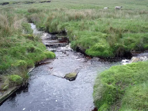 Photo of Hope Woodlands, a country estate near Edale in the Peak District, Derbyshire, central England.