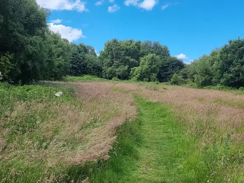 Photo of Waldridge Fell Country Park, a country park near Chester-le-Street, County Durham, north east England.