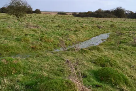 Photo of Farlington Marshes, a nature reserve near Portsmouth, Hampshire, south east England.