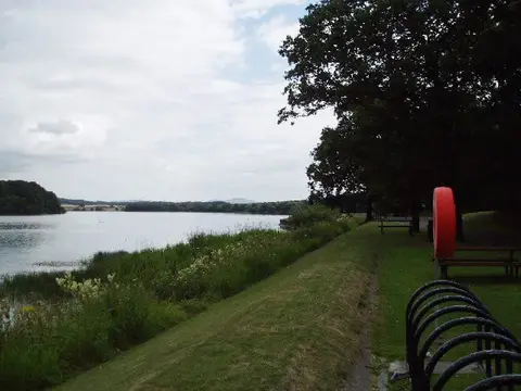 Photo of Gartmorn Dam Country Park, a nature reserve in Clackmannanshire, central Scotland.