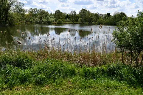 Photo of Fullers Mill Garden, a garden near West Stow, Suffolk, eastern England.
