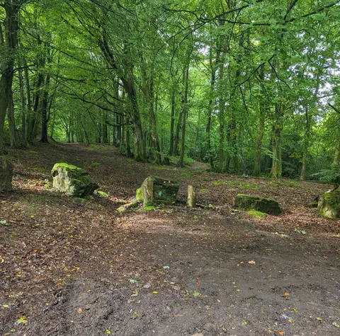 Photo: Wentwood, a 309m hill near Penhow, Newport, south east Wales.