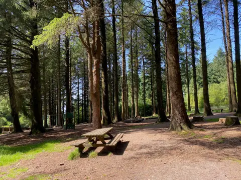 Photo of Beacon Fell Country Park, a country park near Chipping in the Forest of Bowland, Lancashire, north west England.