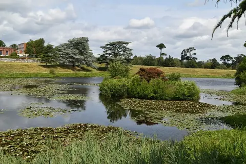 Photo of Ashburnham Park, a Site of Special Scientific Interest near Battle in the High Weald, East Sussex, south east England.