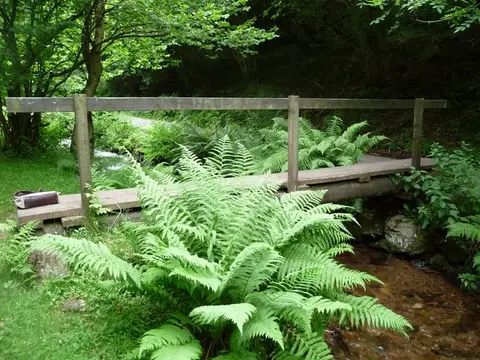 Photo of Holnicote, a country estate near Porlock in Exmoor, Somerset, south west England.