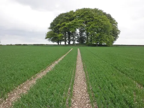 Photo: Bishop Wilton Wold, a 248m hill near Thixendale, East Riding of Yorkshire, northern England.