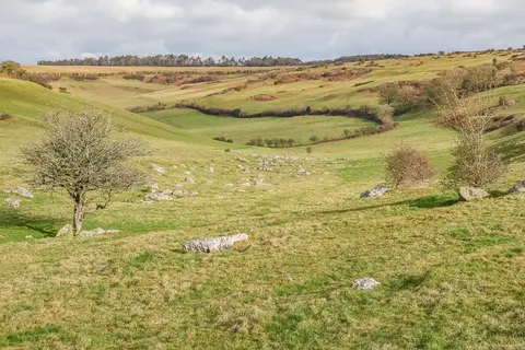 Photo of Valley of Stones, a National Nature Reserve near Abbotsbury, Dorset, south west England.