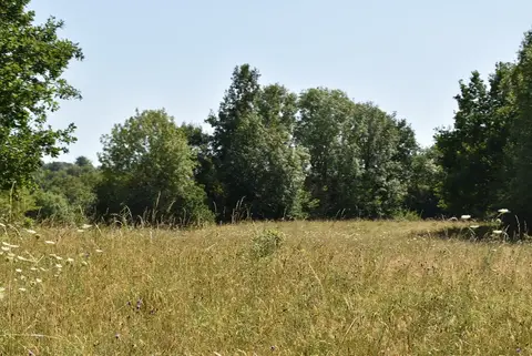 Photo of High Elms Country Park, a country park near Shoreham, London, England.