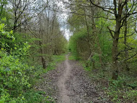 Photo along the National Forest Way, a 75-mile long-distance path running from National Memorial Arboretum to Beacon Hill Country Park, central England.