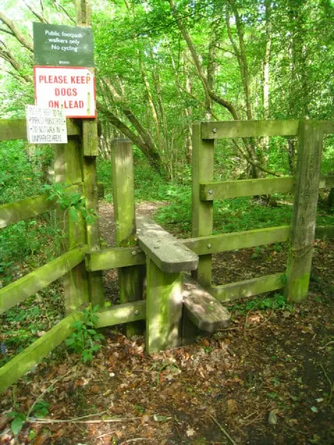 Photo of Butter Wood, a Site of Special Scientific Interest near Greywell, Hampshire, south east England.