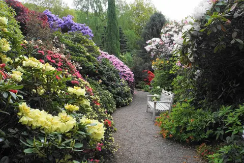 Photo of Lea Gardens, a garden in Derbyshire, central England.