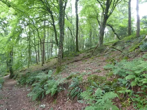 Photo of Ethy, a nature reserve near Lostwithiel, Cornwall, south west England.
