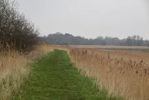 Photo along the Angles Way, a 93-mile long-distance path running from Great Yarmouth to Thetford, eastern England.