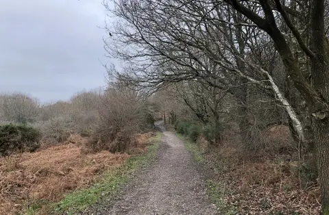 Photo of Ditchling Common, a country park in East Sussex, south east England.