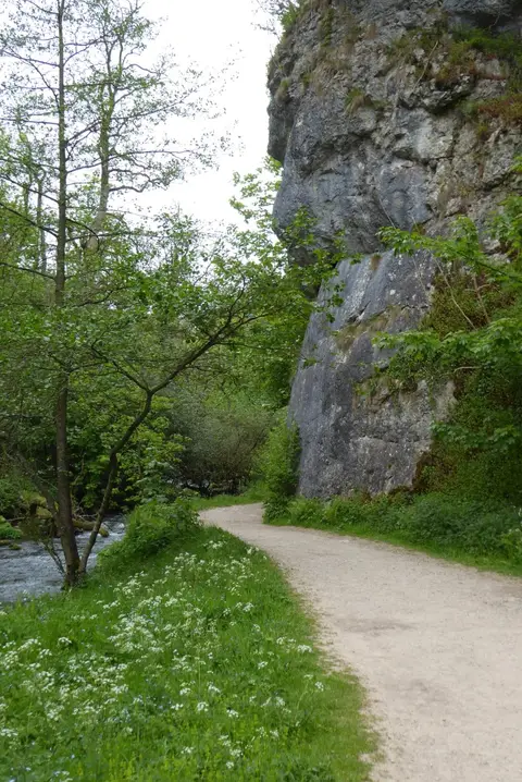 Photo of Dovedale, a country estate near Ilam in the Peak District, Derbyshire, central England.