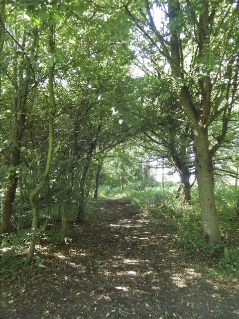 Photo of Daventry Country Park, a country park near Ashby St Ledgers, Northamptonshire, central England.
