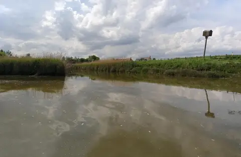 Photo of the River Welland, a river navigation running from Stamford to Fosdyke, England.