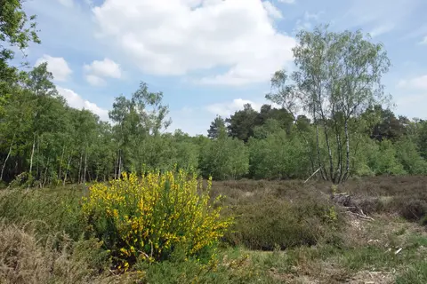 Photo of Newtown Common, Barn Plot, a country estate near Newbury, Hampshire, south east England.