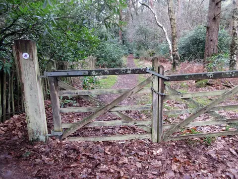 Photo along the Serpent Trail, a 65-mile long-distance path running from Haslemere to Petersfield, south east England.
