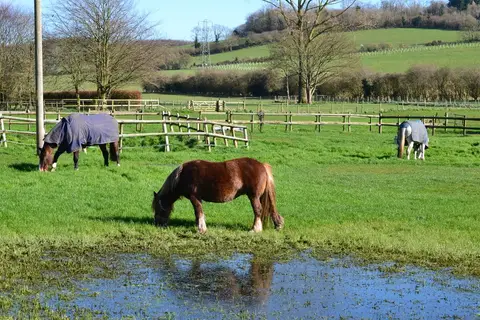Photo of Charlton, a village in the South Downs, West Sussex, south east England.