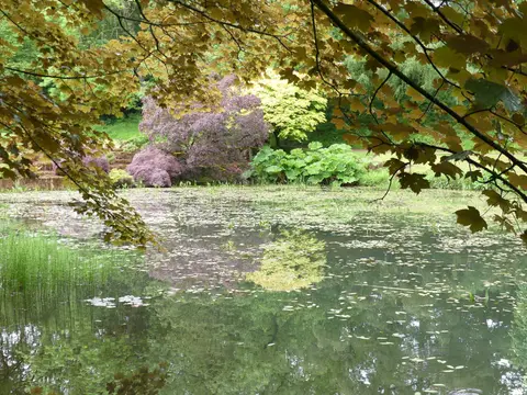 Photo of Lydney Park Gardens, a garden in Gloucestershire, south west England.