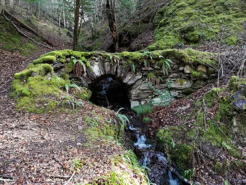 Photo: Reelig Glen, a viewpoint near Kiltarlity, Highland, the Scottish Highlands and Islands.