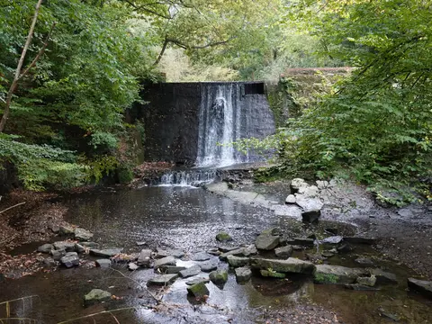 Photo of Wepre Park, a visitor attraction near Burton, Flintshire, north Wales.