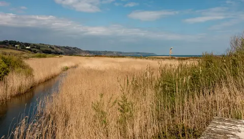 Photo of Slapton Ley, a National Nature Reserve in Devon, south west England.