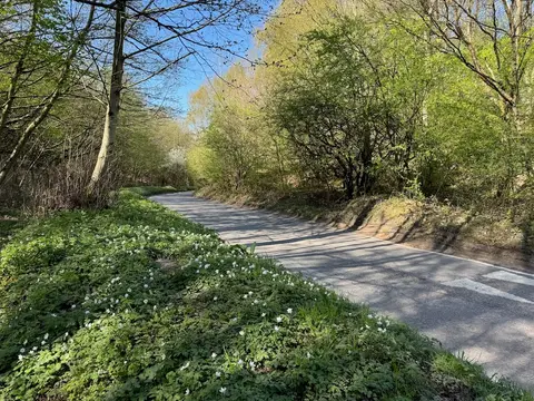 Photo of Granville Country Park, a country park near Telford, Shropshire, central England.