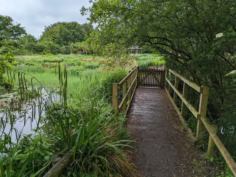 Photo of Pensthorpe Natural Park, a visitor attraction near Little Walsingham, Norfolk, eastern England.
