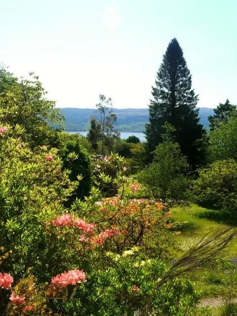 Photo of Crarae Garden, a garden near Minard, Argyll and Bute, the Scottish Highlands and Islands.