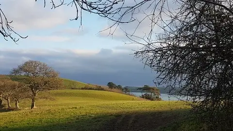 Photo of the coast at North Helford, Cornwall, south west England.