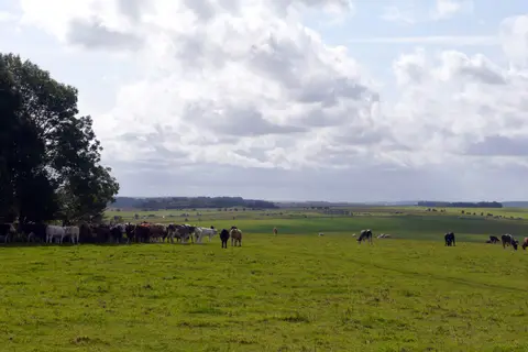 Photo of Stonehenge Landscape, a country estate near Stratford-sub-Castle, Wiltshire, south west England.