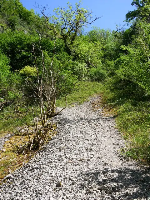Photo of Ebbor Gorge, a Site of Special Scientific Interest near Priddy in the Mendip Hills, Somerset, south west England.