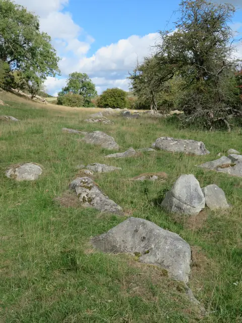Photo of Piggledene, a Site of Special Scientific Interest near Avebury in the North Wessex Downs, Wiltshire, south west England.