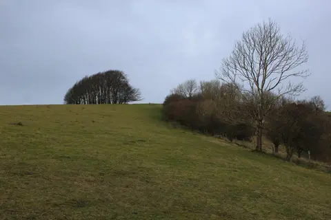 Photo: Win Green, a 278m hill near Ashmore, Wiltshire, south west England.