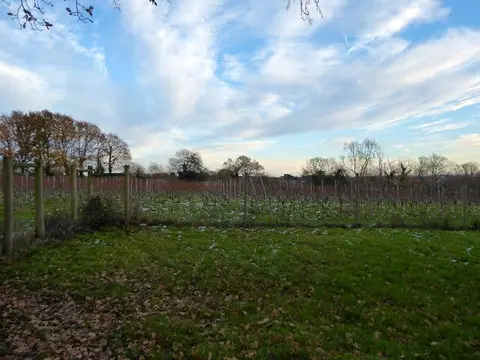 Photo of Hidden Spring Vineyard, a vineyard near Horam, East Sussex, south east England.