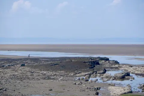 Photo of Aberlady Bay, a nature reserve in East Lothian, central Scotland.